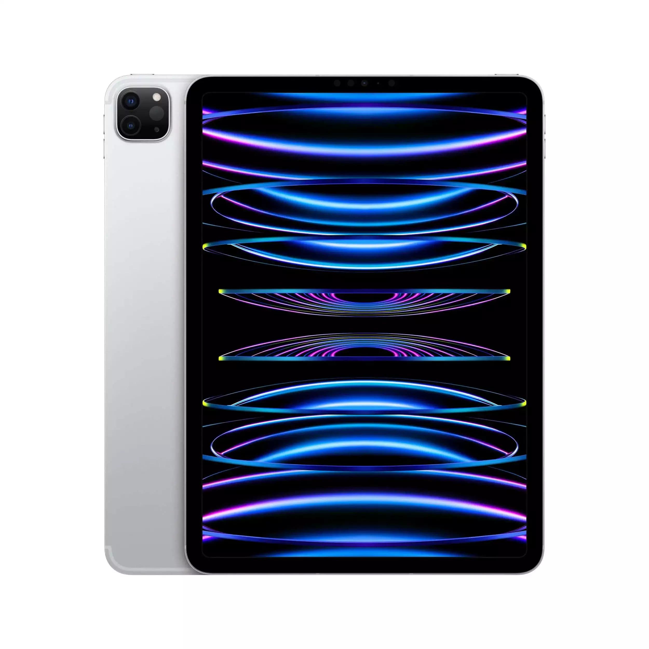 iPad Pro 11" (4-е поколение)